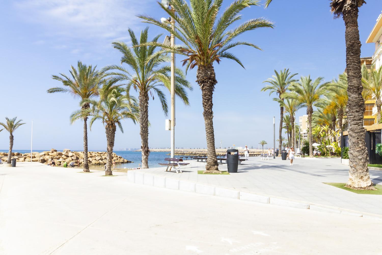 Apartamento Pink Azure Torrevieja Extérieur photo